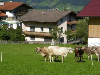 Landhaus Kröll - Fügenberg - 2