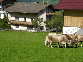 Landhaus Kröll - Fügenberg - 4