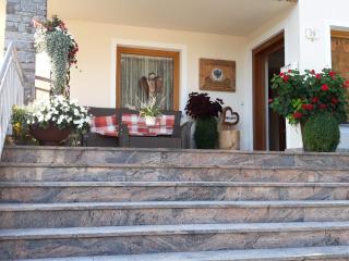 Haus Binder - Ried im Zillertal - 6