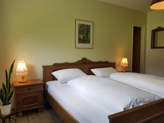 Hotel Landhaus Sonnenhof - Todtnau - 5