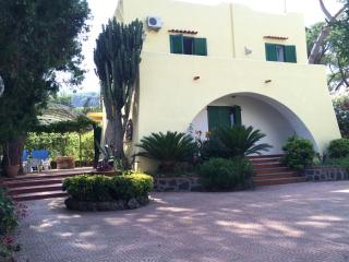Villa immersa nel verde - Ischia - 0