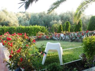 Summerhouse Anastasia - Alexandroupoli - 3