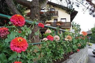 Hotel-Landgasthof Henghuber - Rötz - 4