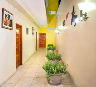 Hotel Colon Plaza - Ica - 2