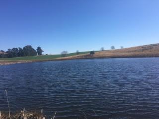 Everwood Estates - Dargle - 8