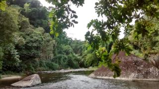 Sitio Recanto Lumiar - Nova Friburgo - 8