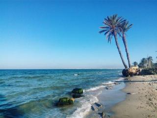 Aylimas Family Hotel - 4