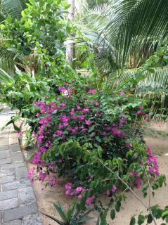 Cocosand Hotel - Mui Ne - 2