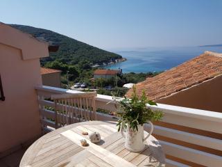 House Mihaela - Miholašćica - 8