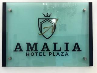 Hotel Plaza Amalia - 3