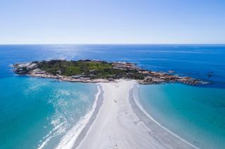 Diamond Island Resort, Restaurant & Bar and Penguin Show - Bicheno - 0