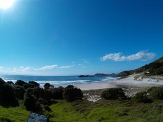 Cliff House - Whangarei Heads - 4