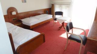 Hotel Post Viernheim UG - Viernheim - 8
