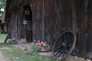 Ferienwohnungen / Ferienhaus Wahlers - Bispingen - 3