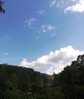 Dinaro Guest - 8