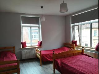 Kuldiga Kalna Apartment - Kuldīga - 9
