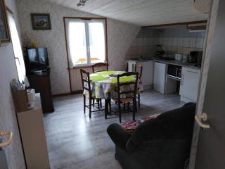 Le Gite Du Bucheron - Dabo - 9