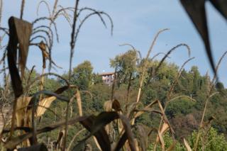 B&B Four Winds - Follina - 2