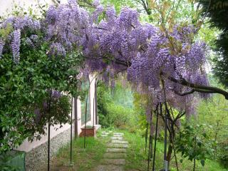 B&B Four Winds - Follina - 5