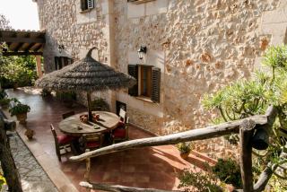 Cocons - Sineu - 2
