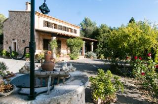 Cocons - Sineu - 4