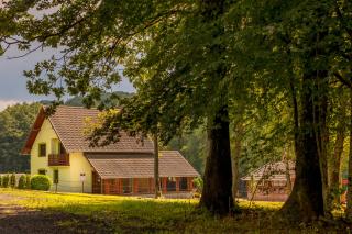 Vila Sara - Novo Zvecevo - 1