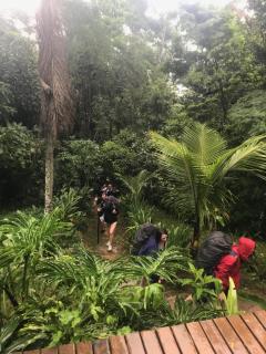 Pousada Rainforest House - Ilha Grande - 9