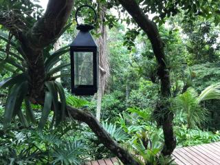 Pousada Rainforest House - Ilha Grande - 3