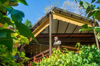 Pousada Mãe Natureza Ilha Grande - 9