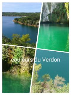 Bio verdon - Régusse - 6