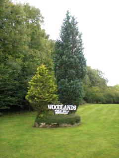 Woodlands Hotel & Pine Lodges - 7