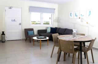Casa Alessandra 1bdr - Palm-Eagle Beach - 4