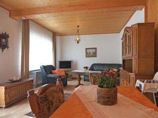 Apartment in Sauerland with terrace - Helminghausen - 6