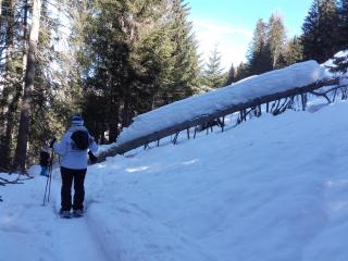 Le Thabor - Valfréjus - 1