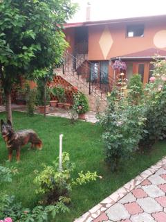 Olimpia Apartments - Alba Iulia - 0