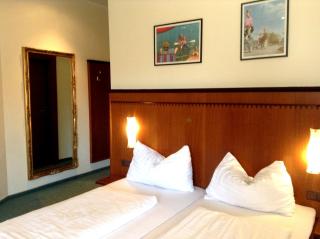 Hotel Gasthof Sonne - Aschach an der Donau - 3