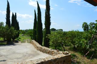 Casa vacanza Borgo Parrini - Partinico - 5
