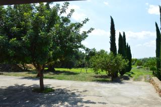 Casa vacanza Borgo Parrini - Partinico - 4