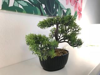 Rosmarinus Apartman - 6