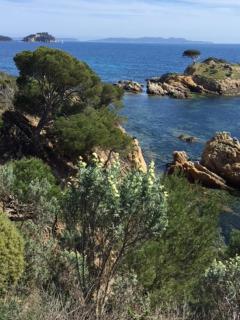 Ecrin de verdure sur Le Lavandou - Classement Tourisme 3 Etoiles - Le Lavandou - 9