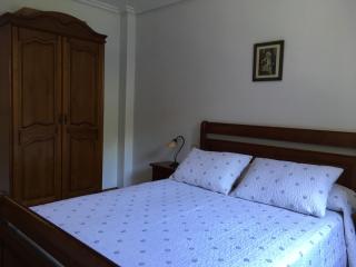 Bizentenea - Zugarramurdi - 5