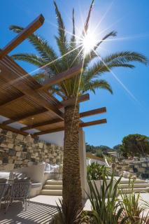 Samian Mare Hotel, Suites & Spa - Karlovasi - 6