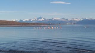 Edelweiss Hostel - 6