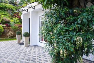 Organic Villa - Kandy - 9