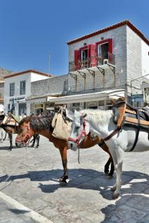 Hydra Port Apartments-Serenity - Hydra - 6