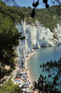 Camping Apartment Vignanotica - Mattinata - 0
