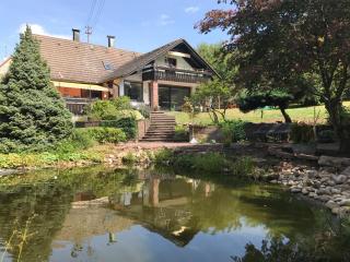 Ferienwohnung Seerose Bad Wildbad i. Schwarzwald - Bad Wildbad - 0