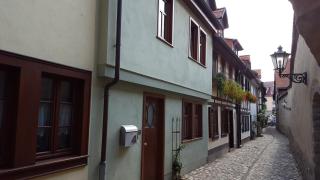 Haus zum wilden Manne - Erfurt - 9