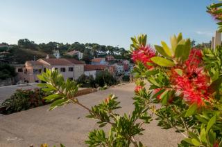 Amaryllis residence, apartment Diana & Deluxe rooms with shared kitchen - Veli Lošinj - 1