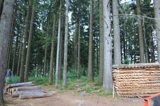 Chalet Nueschwendi - Ebnat - 4
